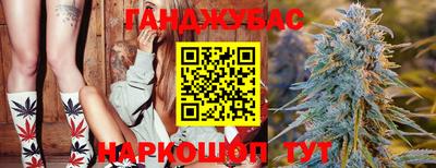 гидропоника Гусиноозёрск