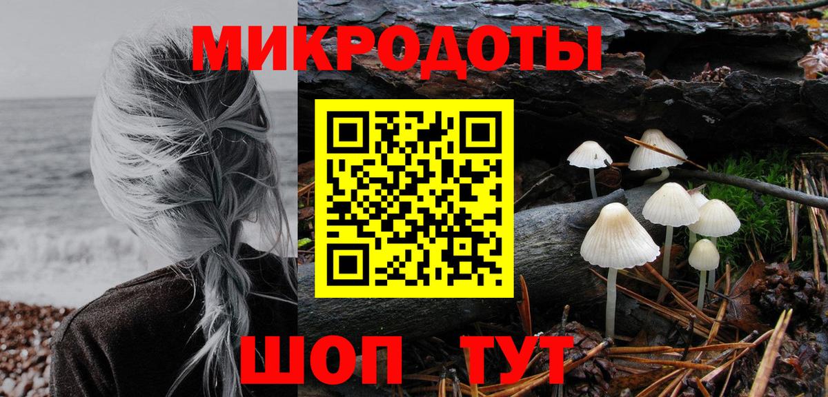 Звенигород  Галлюциногенные грибы Psilocybine cubensis  Вход с VPN 